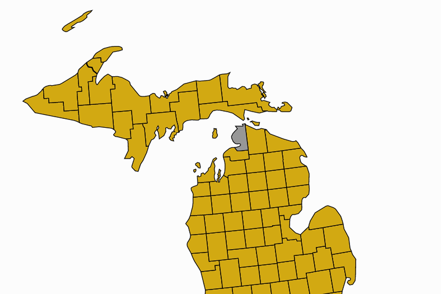 Michigan Democratic in a licensed editorial photograph.