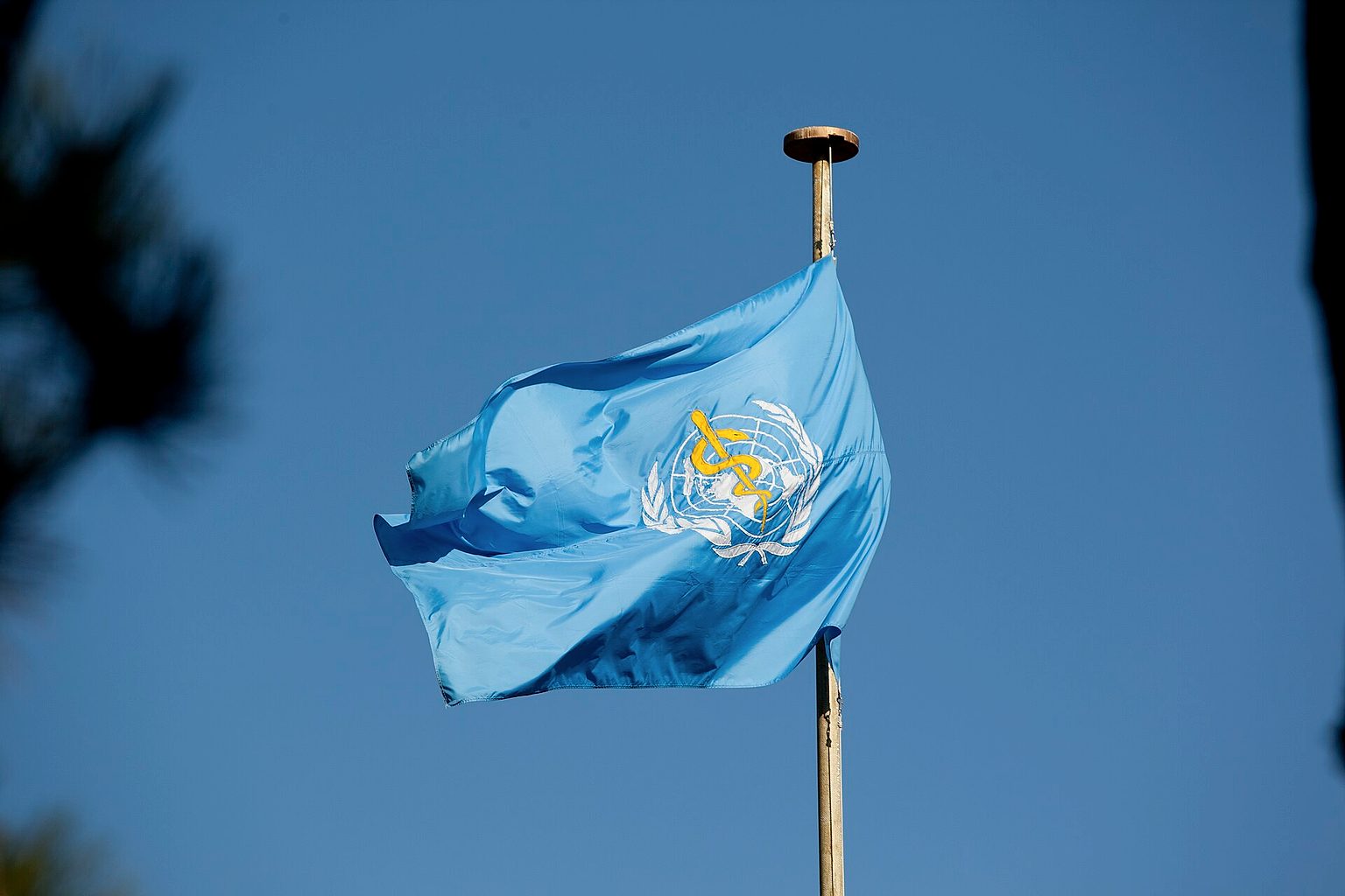 World Health Organization Flag