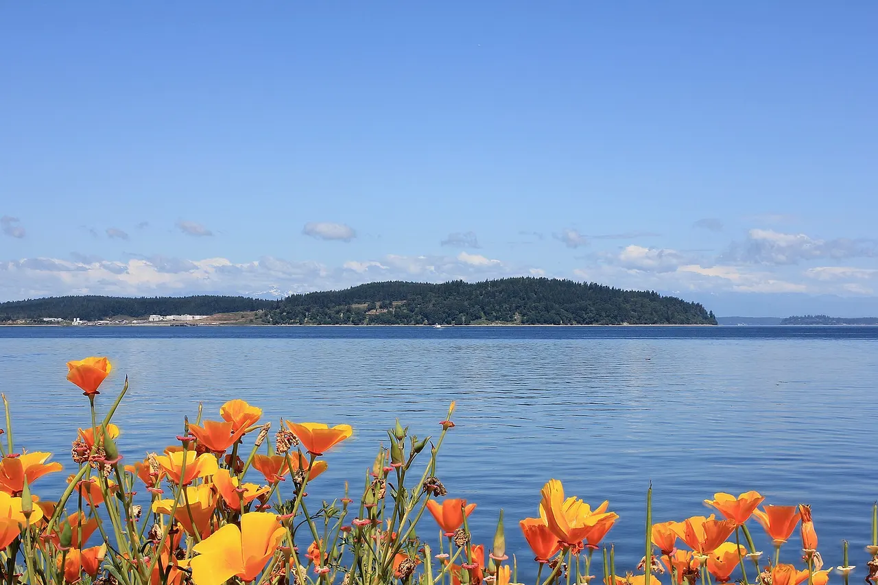 A view of Anderson Island and the Puget Sound from Steilacoom, Washington.