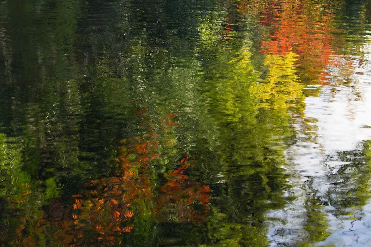 Scenery of the pond at Shitennō-ji Honbō Garden in Osaka.