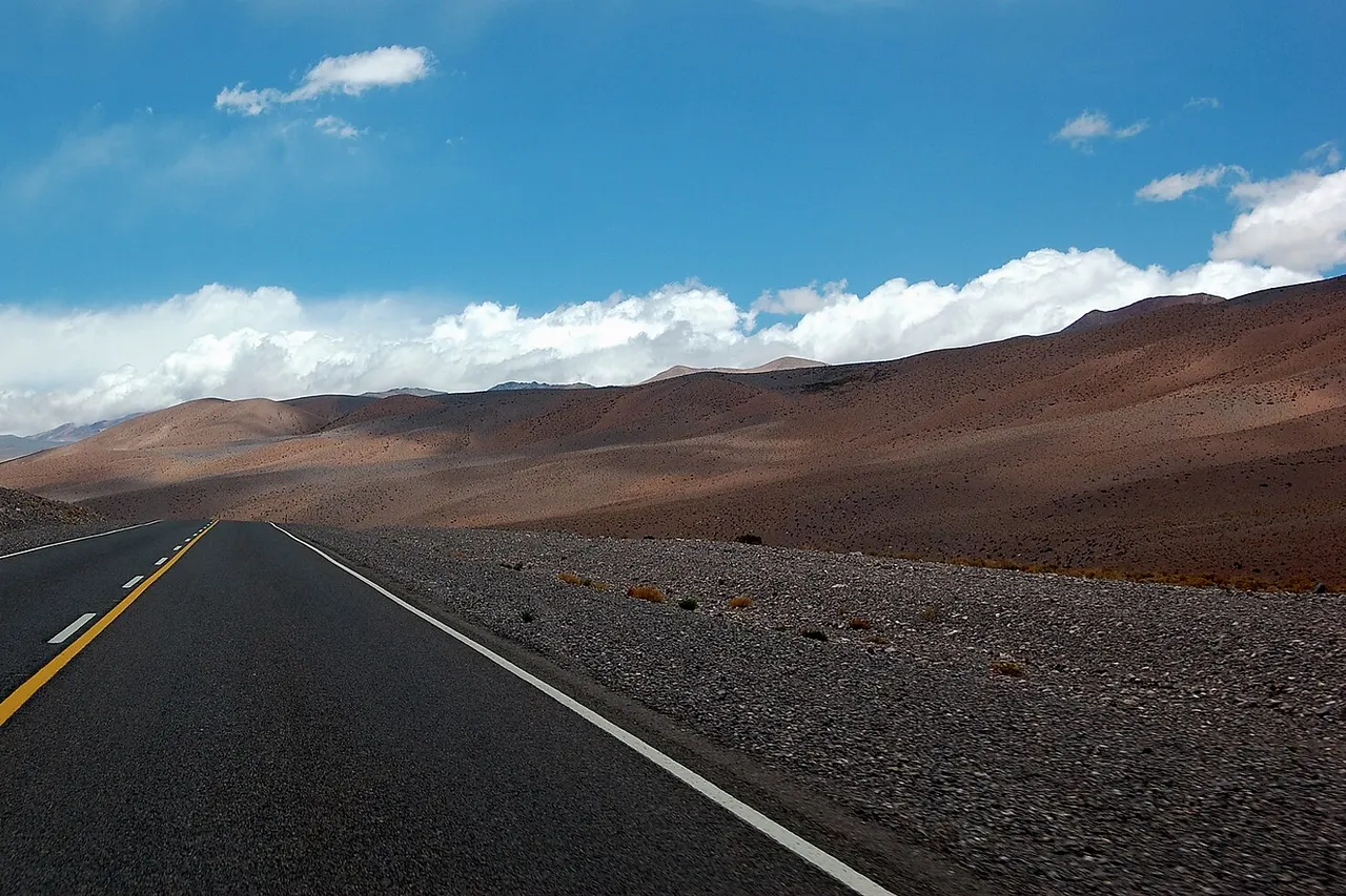 Route 60, between Fiambala, Argentina and Copiapo, Chile.