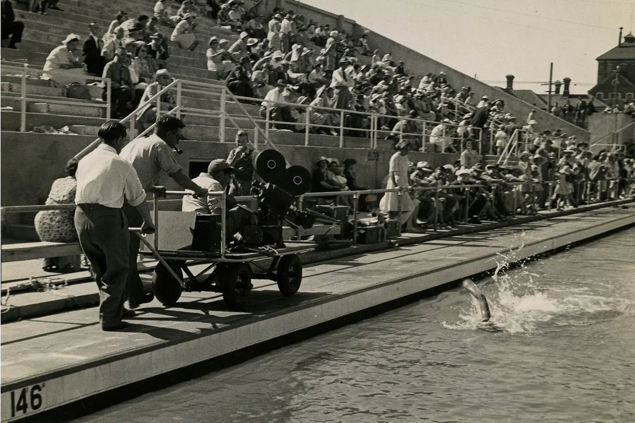 Description: British Empire Games, 1950. Photographer: Unidentified Date: 1950 Archival reference: AAPG 25263 W3939 Box 1 www.archway.archives.govt.nz/ViewFullItem.do?code=2843469 On February 4 1950, the British Empire Games started. This sporting event was the precursor to what is now known as the Commonwealth Games. The games took place in Auckland, New Zealand and the main stadium used was Eden Park. The games were the first to be held after a 12 year break due to World War 2. Australia ended up topping the medals table, with England coming second and New Zealand third. The film footage shown here is from a National Film Unit clip titled Empire Games 1950. The comprehensive footage shows a summary of the opening ceremony of the games and key moments from various sporting events. The National Film Unit was established to publicise New Zealand's participation and achievements during the Second World War. After 1945 the Film Unit expanded from producing weekly newsreels to making documentaries and films to the order of Government Departments. During its existence the Film Unit produced films for national organisations as well as many films on its own initiative. The private film industry in New Zealand relied heavily on the National Film Unit's extensive film processing facilities. The image above is from a series of film and production stills produced by the National Film Unit. Taken at the Empire Games, it shows a film crew capturing an unidentified swimmer competing in the games. For updates on our On This Day series and news from Archives New Zealand, follow us on Twitter www.twitter.com/ArchivesNZ Material supplied by Archives New Zealand