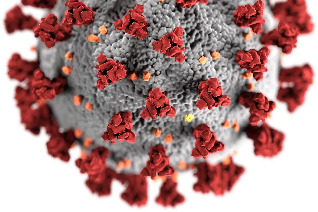 This illustration, created at the Centers for Disease Control and Prevention (CDC), reveals ultrastructural morphology exhibited by coronaviruses. Note the spikes that adorn the outer surface of the virus, which impart the look of a corona surrounding the virion, when viewed electron microscopically. A novel coronavirus, named Severe Acute Respiratory Syndrome coronavirus 2 (SARS-CoV-2), was identified as the cause of an outbreak of respiratory illness first detected in Wuhan, China in 2019. The illness caused by this virus has been named coronavirus disease 2019 (COVID-19).
