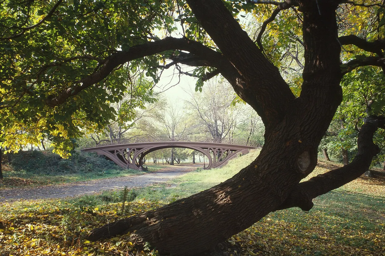 Central Park Bridges (view from Bridlepath looking southwest), Gothic Arch, Spanning bridlepath south of tennis courts, north of reservoir, New York City, New York County, NY