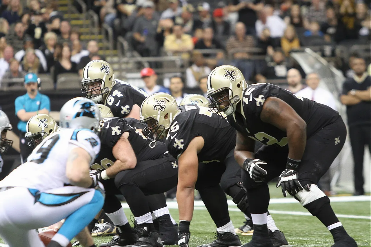 New Orleans Saints vs Carolina Panthers, December 6, 2015, Tammy Anthony Baker, Photographer