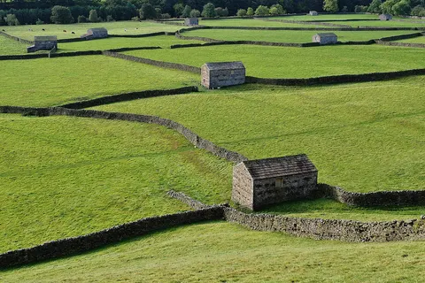 Fields and drystone walls in Swaledale near Gunnerside, England.