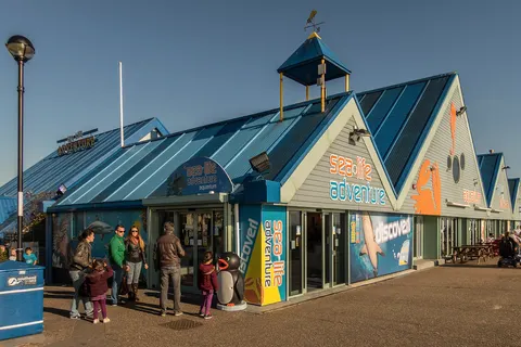 Sea Life Adventure