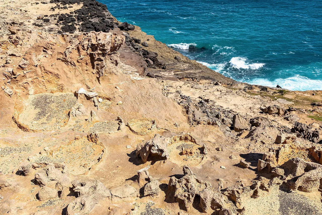 Solution pipes (Petrified Forest), Cape Bridgewater , Victoria , Australia
