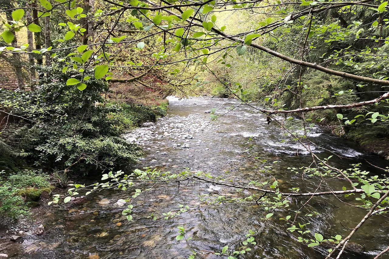 Raging River, King County, Washington.
