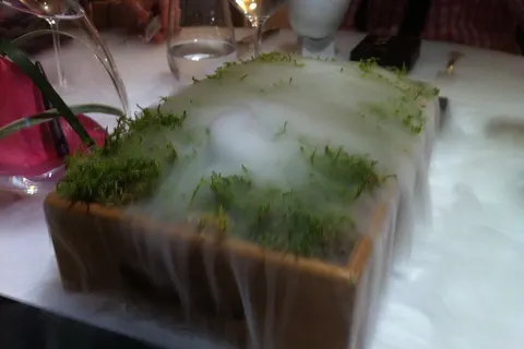 Smoking moss