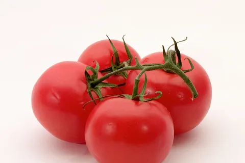 Best Of Cheese Foods! Tomato Burger Tomato Pizza Tomato Lasagna
