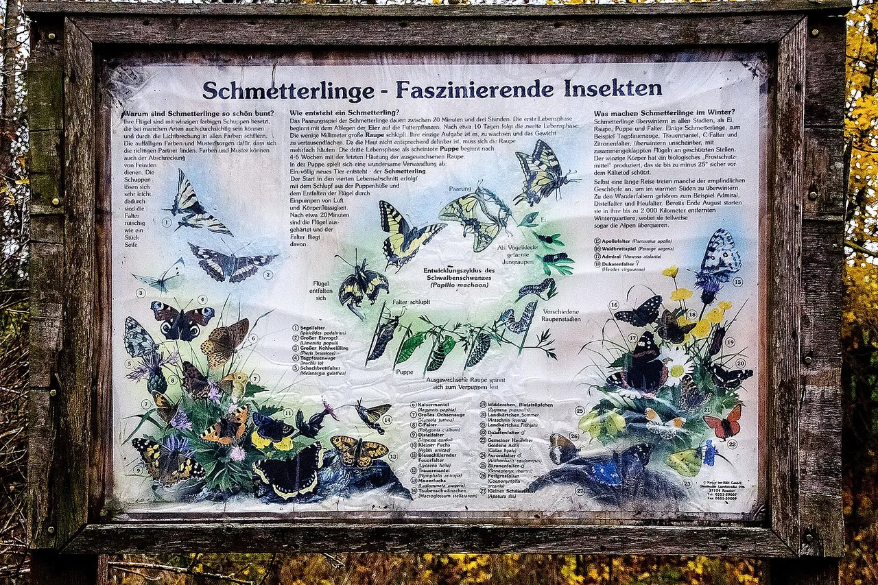Information board is between Blumenthal and Elbe