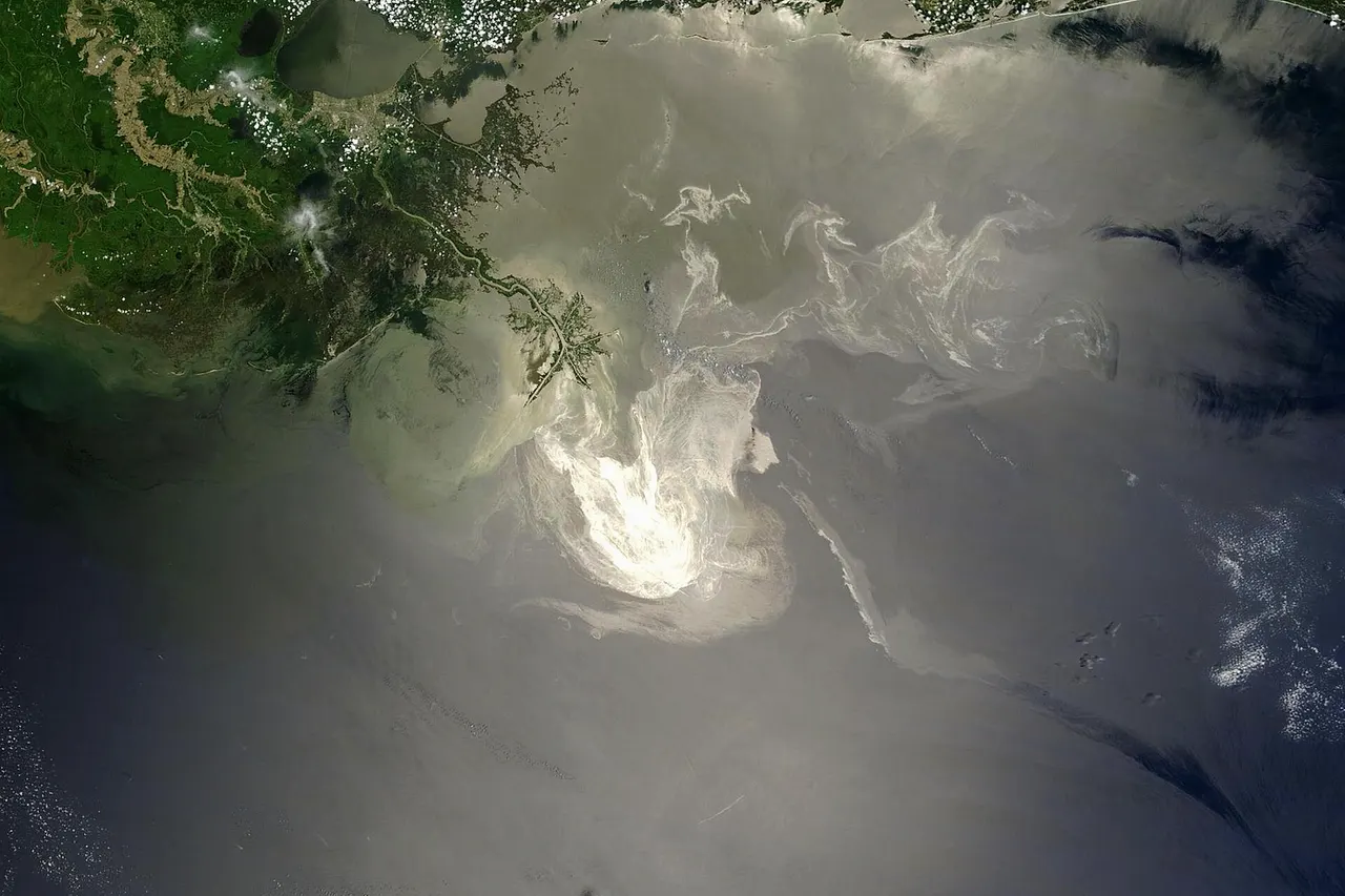 Description from NASA ( source ): "NASA's Terra Satellites Sees Spill on May 24 Sunlight illuminated the lingering oil slick off the Mississippi Delta on May 24, 2010. The Moderate-Resolution Imaging Spectroradiometer (MODIS) on NASA’s Terra satellite captured this image the same day. Oil smoothes the ocean surface, making the Sun’s reflection brighter near the centerline of the path of the satellite, and reducing the scattering of sunlight in other places. As a result, the oil slick is brighter than the surrounding water in some places (image center) and darker than the surrounding water in others (image lower right). The tip of the Mississippi Delta is surrounded by muddy water that appears light tan. Bright white ribbons of oil streak across this sediment-laden water. Tendrils of oil extend to the north and east of the main body of the slick. A small, dark plume along the edge of the slick, not far from the original location of the Deepwater Horizon rig, indicates a possible controlled burn of oil on the ocean surface. To the west of the bird’s-foot part of the delta, dark patches in the water may also be oil, but detecting a manmade oil slick in coastal areas can be even more complicated than detecting it in the open ocean. When oil slicks are visible in satellite images, it is because they have changed how the water reflects light, either by making the Sun’s reflection brighter or by dampening the scattering of sunlight, which makes the oily area darker. In coastal areas, however, similar changes in reflectivity can occur from differences in salinity (fresh versus salt water) and from naturally produced oils from plants. Michon Scott, NASA's Earth Observatory, NASA Goddard Space Flight Center"