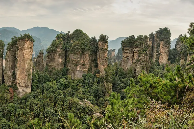 Five fingers peak. Quartzite sandstone Huangshizhai Zhangjiajie Wulingyuan Hunan, China. Panorama 2012.