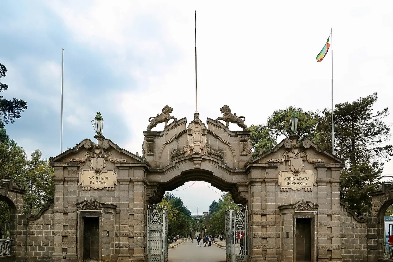 Addis Ababa University