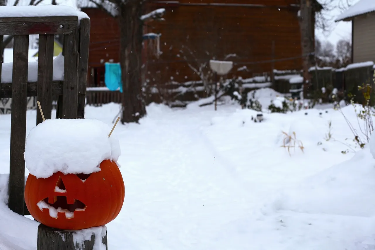 Halloweeni kõrvits Tartus, Supilinnas, Herne tänaval. 2016. aasta november.