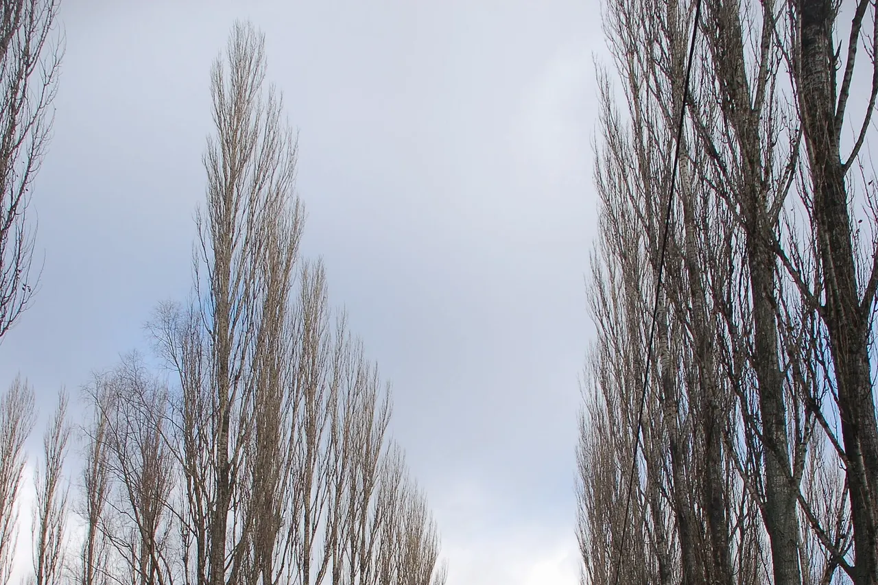 Alley in Babi Yar, Kiev